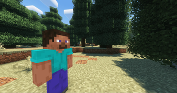Npc In-game