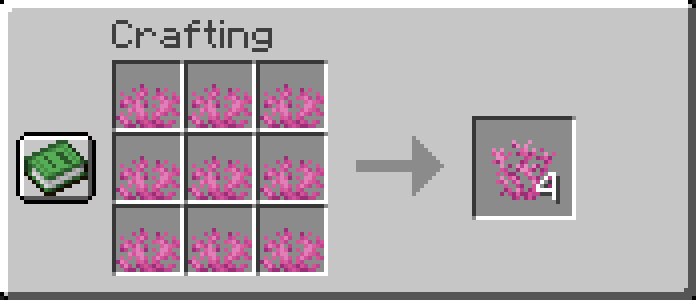 Coral Item