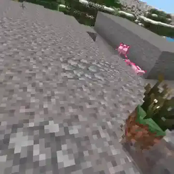 Firefly Bush
