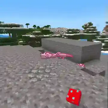 Mushroom