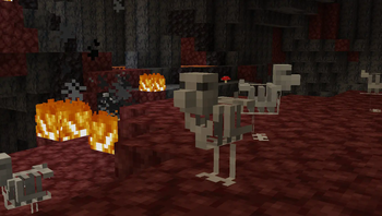 Skelly Chickens in the Nether