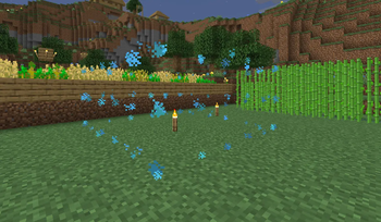 Particle Borders