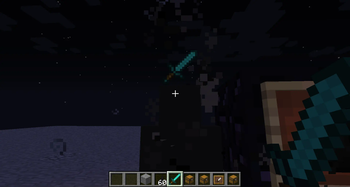 Evil Reflection displaying a Diamond Sword