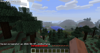In-Game Picture