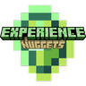 Experience Nuggets