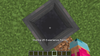 Storing Experience