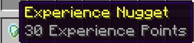 Experience Nugget Item