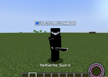 Normal version, aka the netherite sword.