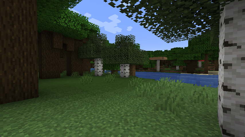 a regular screenshot of a minecraft forest - what did you expect?