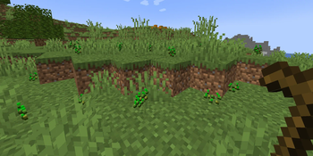 Seed clutter without this datapack