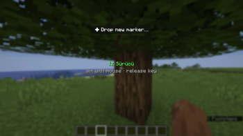 Radial menu (hold H)