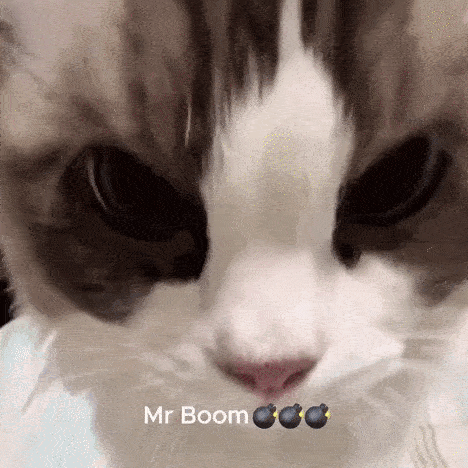 Mr.Boom