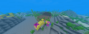 Elkonia Deep Coral Ocean Biome