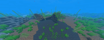 Elkonia Deep Coral Ocean Biome