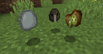 Kiwi egg, spawn egg, and fruit