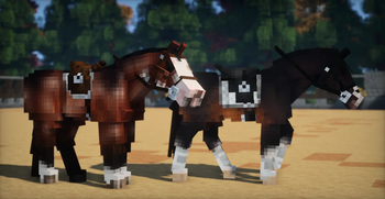 The Luminara Collection Screenshot 1