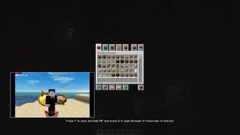 Pip in Inventory