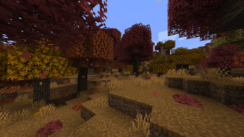 Seasonal Forest