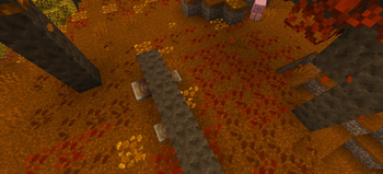 Fallen Log
