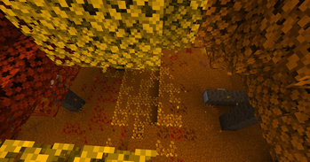 Leaf Litter