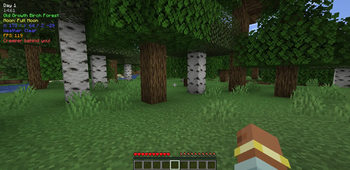 HUD Gameplay + Creeper alert