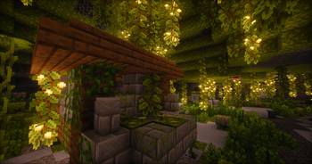 Lush Hut