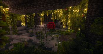 Showcase