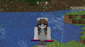 Custom Model Data Texture