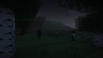 Nightfall Shadows