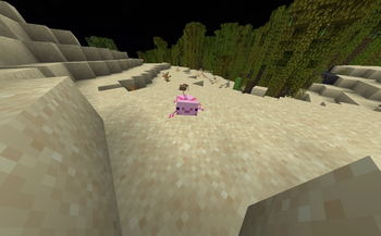 Happy Axolotl in game