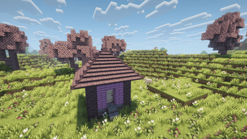 Strawberry Roof