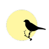 Kanary