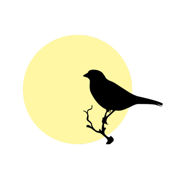 Kanary Logo