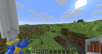 Sword & Shield view / Item in inv