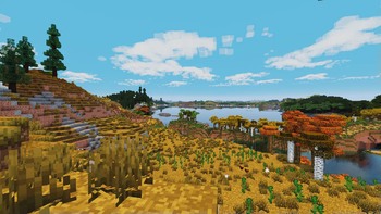 (1.3) A field