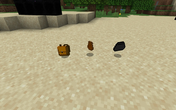 bags