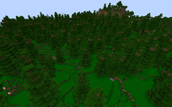 giant oak forest