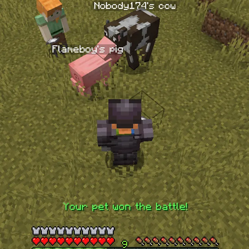 battle won