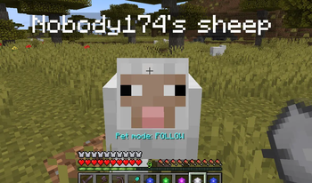 pet-follow