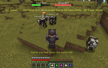 Pet Battle