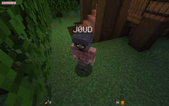 Zombie Player