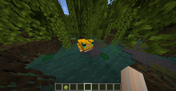Fearless Frog