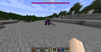 Portal Staff
