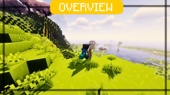 OverView