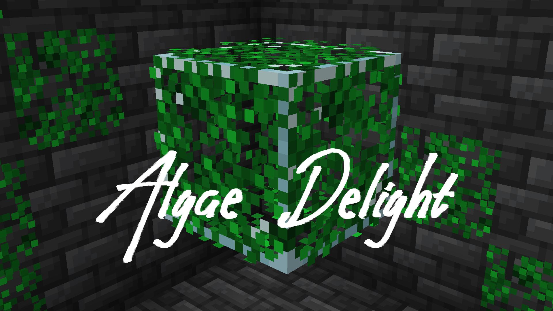 Algae Delight