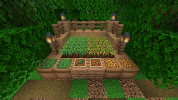 Parsley and Chickpea crops