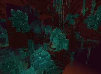 Warped Forest 2