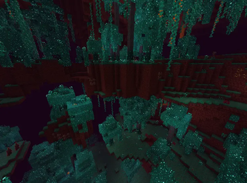 Warped Forest 1