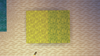Sponge and Wet Sponge