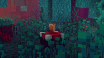 Warped Forest